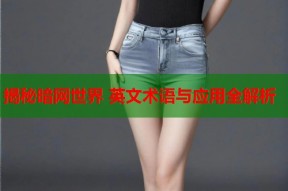 揭秘暗网世界 英文术语与应用全解析