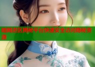 暗网进区揭秘平台快速安全访问隐秘资源