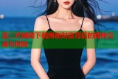 富二代暗网下载揭秘财富背后的隐秘交易与风险