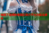暗网下载揭秘美国纪录片平台功能全解析