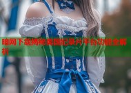 暗网下载揭秘美国纪录片平台功能全解析