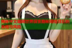 揭秘中文暗网世界探索隐秘网络背后的真相与风险
