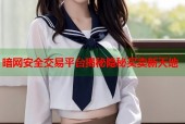 暗网安全交易平台揭秘隐秘买卖新天地