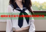 暗网安全交易平台揭秘隐秘买卖新天地