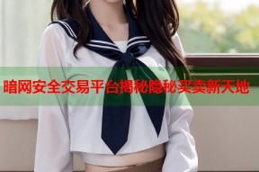 暗网安全交易平台揭秘隐秘买卖新天地