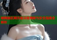 暗网禁区网页版深度揭秘与安全指南全解析