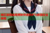 暗区禁网病毒揭秘快速防护与数据安全保障