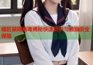 暗区禁网病毒揭秘快速防护与数据安全保障