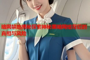 暗网禁地揭秘探索神秘黑暗网络背后的真相与风险