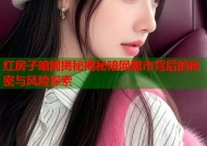 红房子暗网揭秘揭秘暗网黑市背后的秘密与风险探索