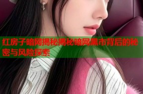 红房子暗网揭秘揭秘暗网黑市背后的秘密与风险探索