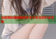深度揭秘暗网搜索技术与安全防护全攻略