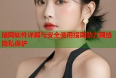 暗网软件详解与安全使用指南助力网络隐私保护