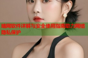 暗网软件详解与安全使用指南助力网络隐私保护