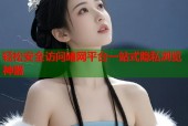 轻松安全访问暗网平台一站式隐私浏览神器