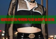 暗网禁区账号揭秘与安全防护全攻略