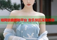 暗网禁曲揭秘平台 音乐禁区深度探索