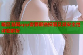 暗区禁网app需要哪些权限及其安全性详细解析