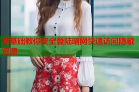 零基础教你安全登陆暗网快速访问隐藏资源