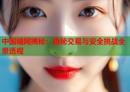 中国暗网揭秘：隐秘交易与安全挑战全景透视