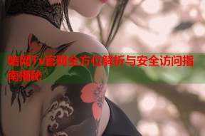 暗网Tv官网全方位解析与安全访问指南揭秘