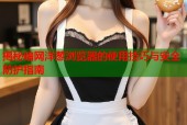 揭秘暗网洋葱浏览器的使用技巧与安全防护指南