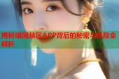 揭秘暗网禁区APP背后的秘密与风险全解析