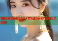 揭秘暗网禁区APP背后的秘密与风险全解析