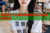 暗网禁区平台揭秘黑暗网络背后的秘密世界探索