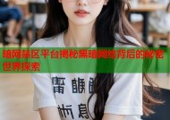 暗网禁区平台揭秘黑暗网络背后的秘密世界探索