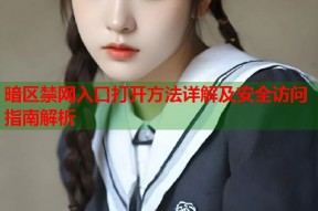 暗区禁网入口打开方法详解及安全访问指南解析