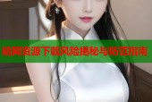 暗网资源下载风险揭秘与防范指南