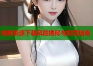 暗网资源下载风险揭秘与防范指南