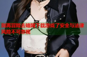 别再冒险去暗网下载游戏了安全与法律风险不可忽视