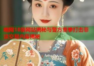 暗网18禁网站揭秘与警方重拳打击非法交易内幕揭秘