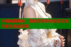 中国暗网揭秘：隐秘空间中的信息交易与安全挑战探索