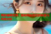 揭秘暗网世界：隐秘网站背后的秘密与风险分析