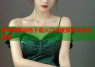 揭秘暗网禁地下载入口深度探索与安全指南