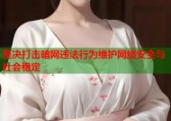 坚决打击暗网违法行为维护网络安全与社会稳定