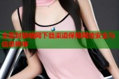 全面封禁暗网下载渠道保障网络安全与信息秩序