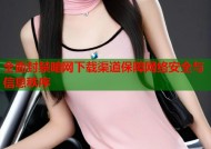全面封禁暗网下载渠道保障网络安全与信息秩序