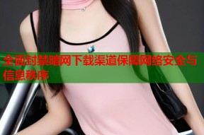 全面封禁暗网下载渠道保障网络安全与信息秩序