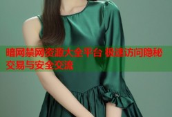暗网禁网资源大全平台 极速访问隐秘交易与安全交流