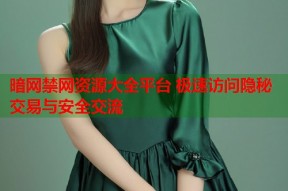 暗网禁网资源大全平台 极速访问隐秘交易与安全交流