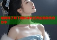 暗网柿子殿下揭秘神秘世界的隐秘传奇故事