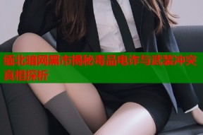 缅北暗网黑市揭秘毒品电诈与武装冲突真相探析