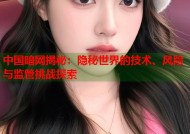中国暗网揭秘：隐秘世界的技术、风险与监管挑战探索