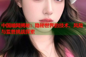 中国暗网揭秘：隐秘世界的技术、风险与监管挑战探索