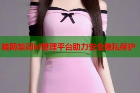 暗网禁词id管理平台助力安全隐私保护