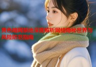 黄色暗网禁地深度解析网络隐秘世界与风险防范指南